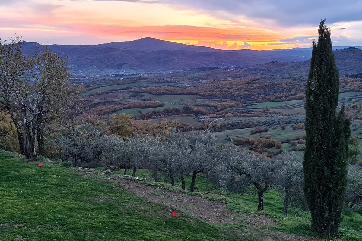 Azienda agricola bio