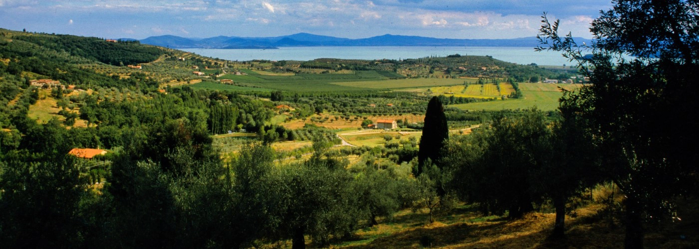 Colli del trasimeno