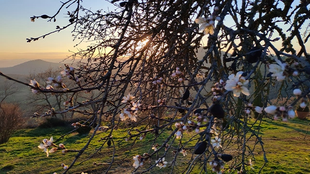 Rispettiamo la natura